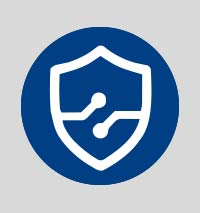 The icon from the DigiSafe logo